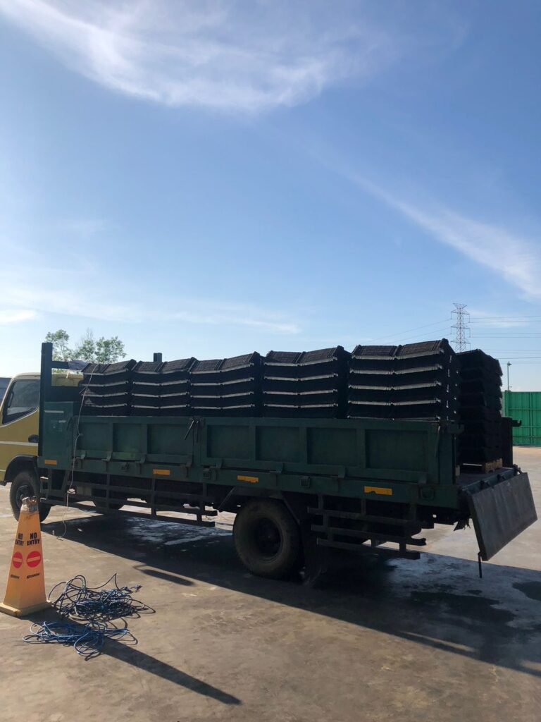 WhatsApp Image 2024-11-07 at 15.30.05